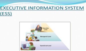 Executive Information System