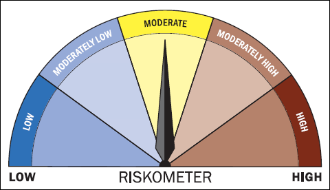Mutual Fund Riskometer