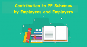 Contribution to PF Schemes by Employees and Employers