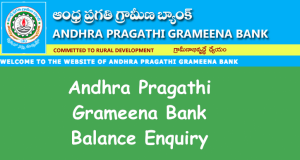Andhra Pragathi Grameena Bank Balance Enquiry